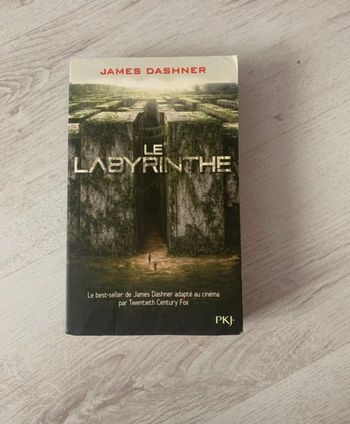 le labyrinthe tome 1