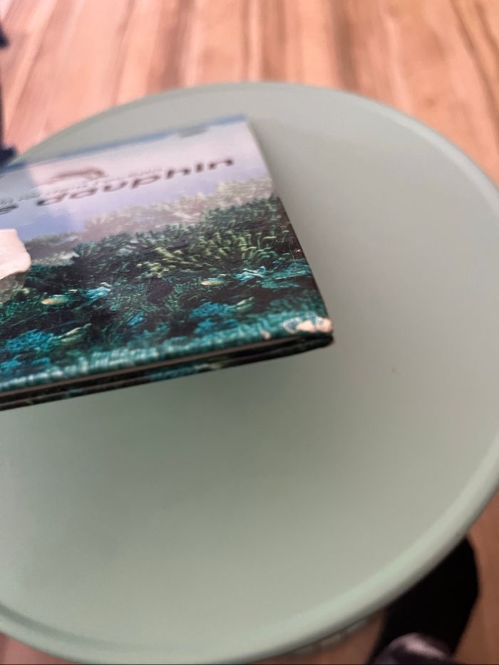 Livre un roi dans l’océan, le dauphin - photo numéro 4