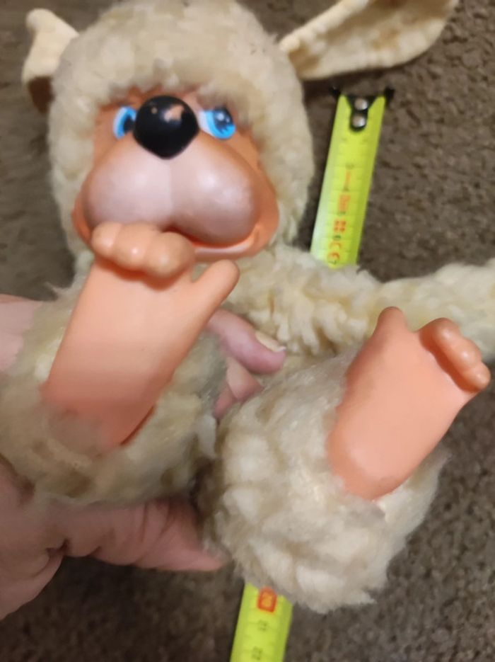 chien style kiki - photo numéro 6