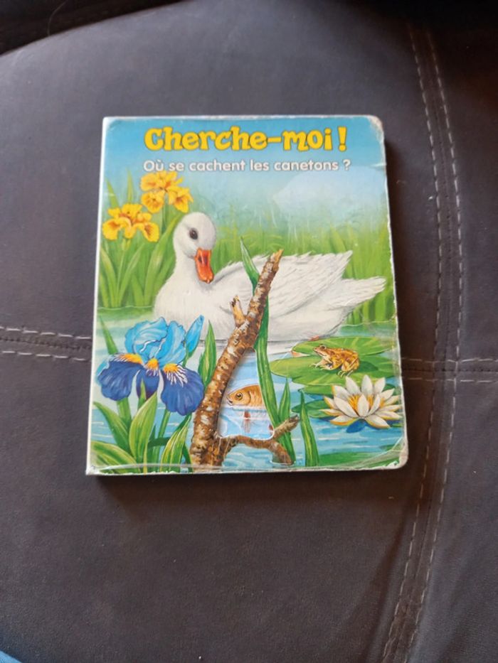 Cherche-moi où se cache les canetons