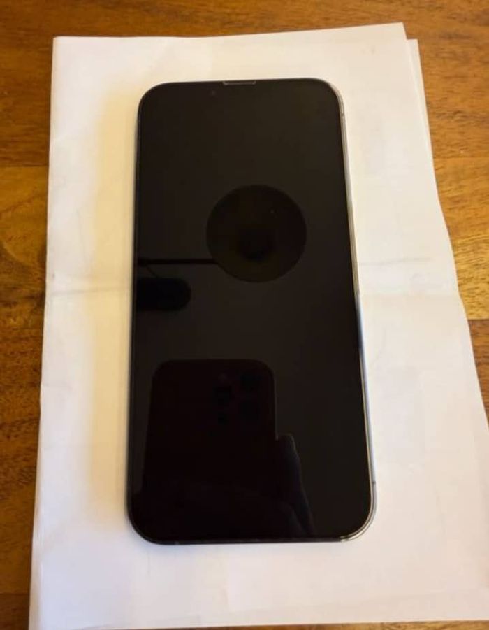 iPhone 13 pro max - photo numéro 5