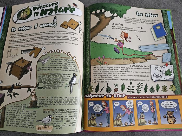 Livre BD jeunesse éducative "Les jeux de Jessie Lee" - Avec DVD - photo numéro 6