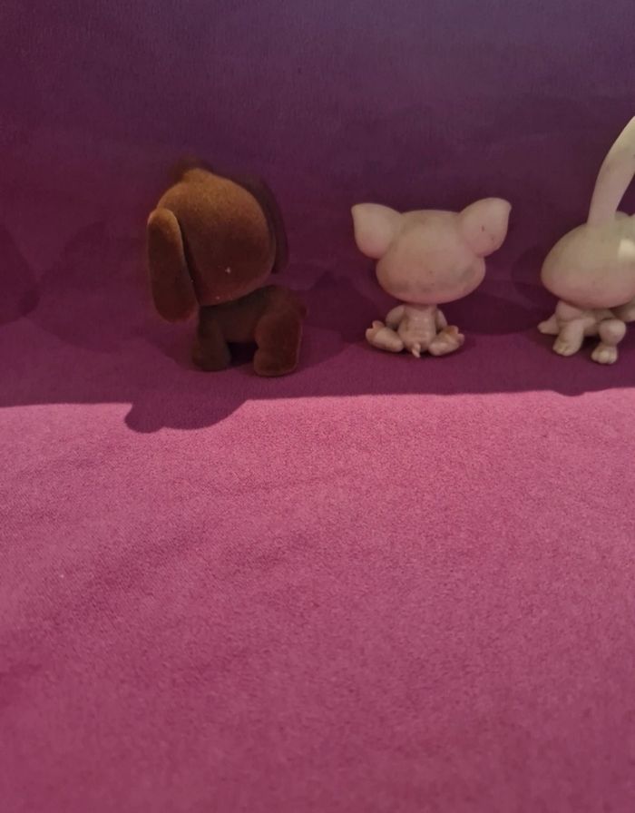 Petshop - photo numéro 4