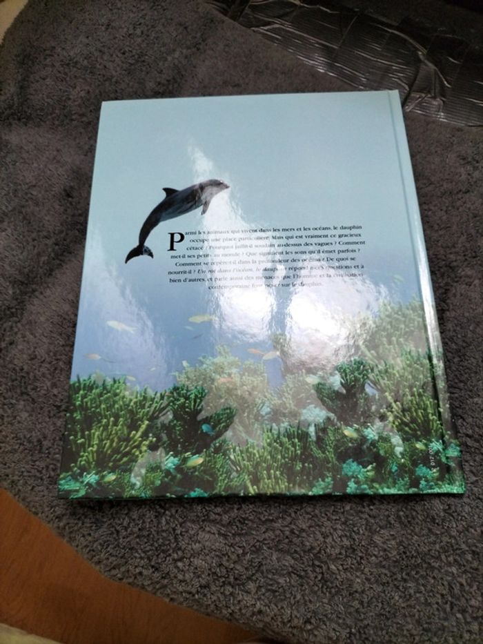 Atlas sur les dauphins 🌟 - photo numéro 2