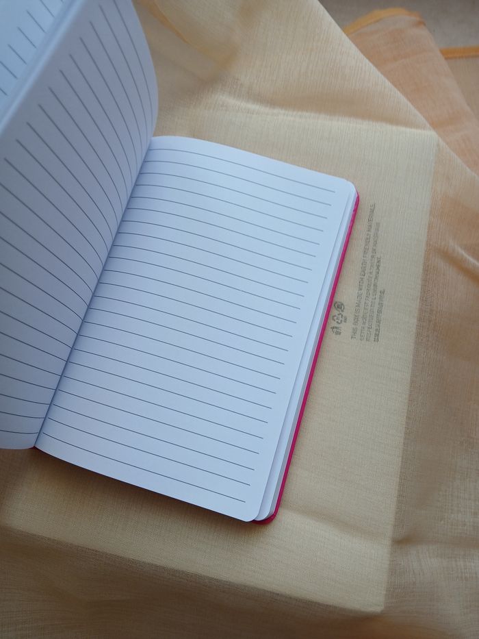 Notebook 3 D Minnie - photo numéro 7