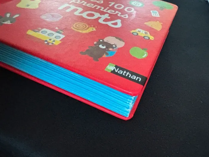 Livre d’apprentissage Mes 100 premiers mots - photo numéro 4