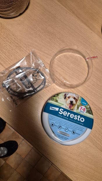 Collier petit chien seresto