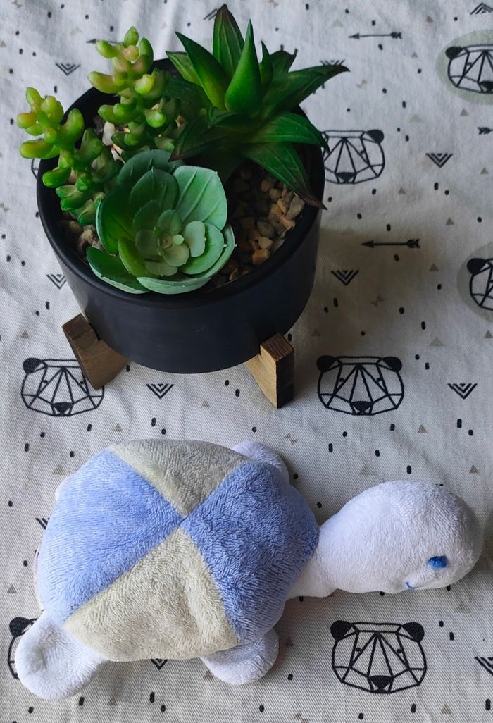 Peluche - photo numéro 4