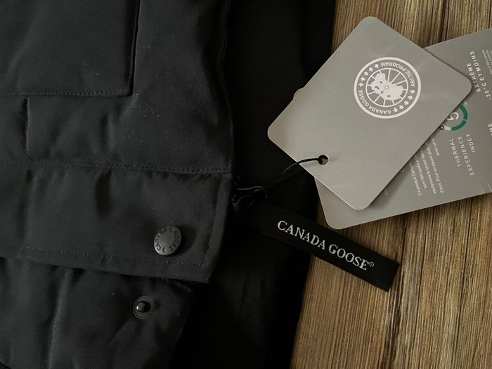 Canada goose - photo numéro 2