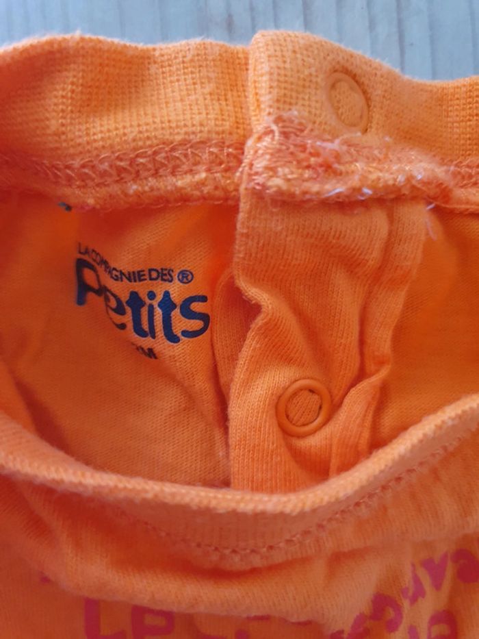 Tshirts 12 mois - photo numéro 5