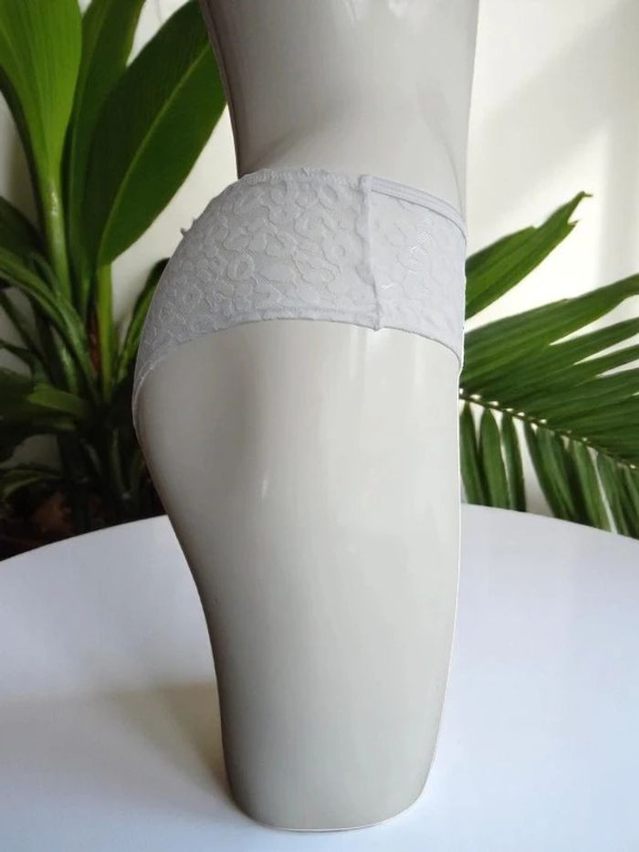 Culotte slip - photo numéro 3