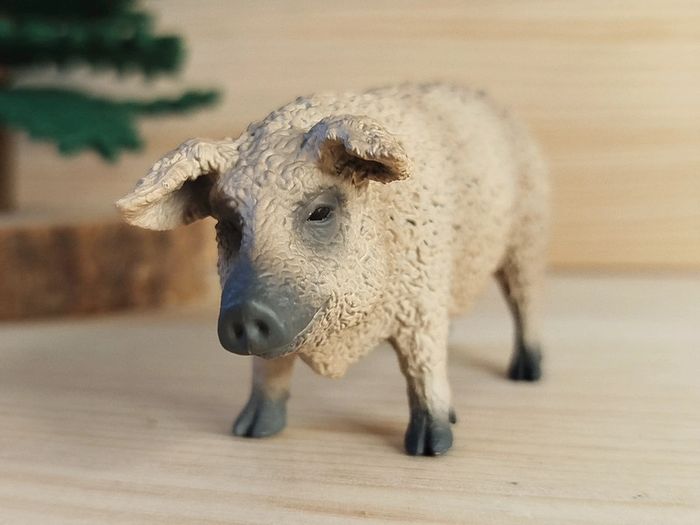 Collecta Cochon Figurine animal de la ferme