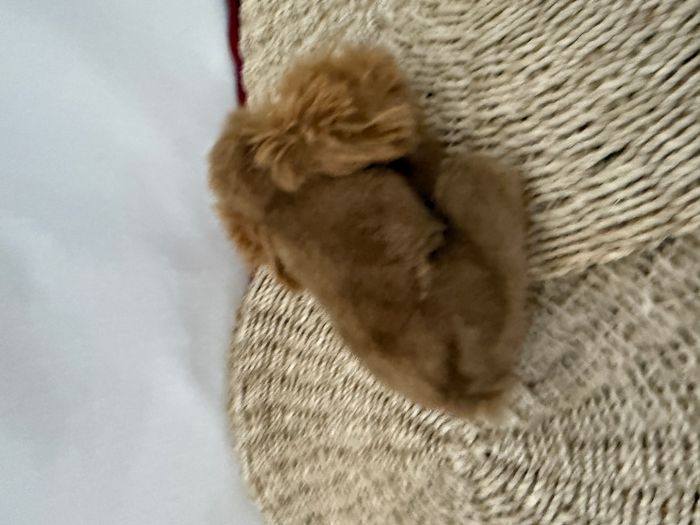 doudou vintage - photo numéro 4