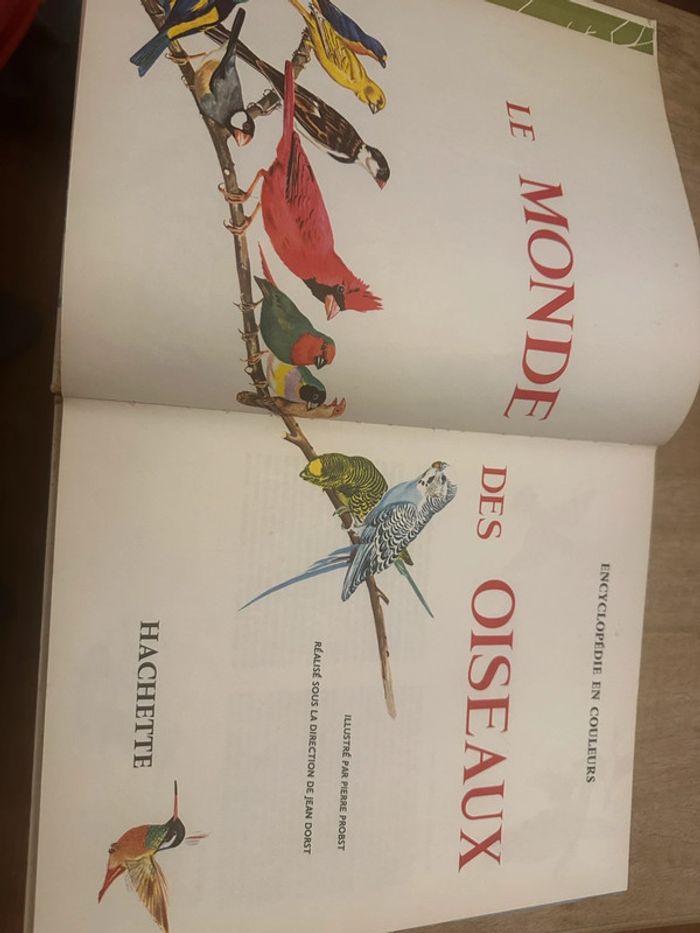 Pierre Probst Jean Dorst - Encyclopédie en couleurs Le monde des oiseaux Hachette - photo numéro 6