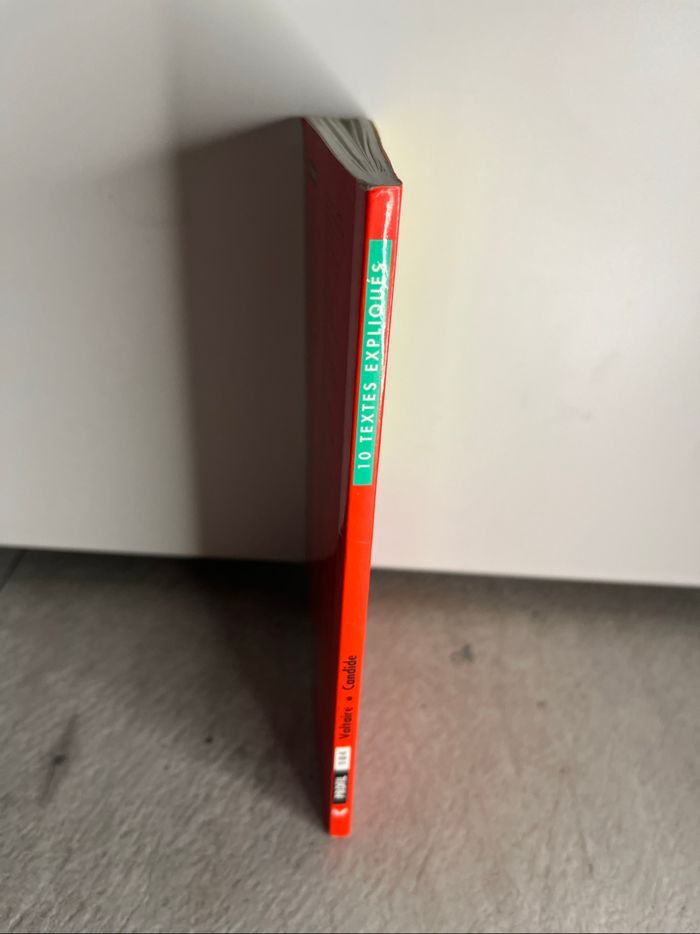 Profil 10 textes expliqués de Candide de Voltaire - photo numéro 3