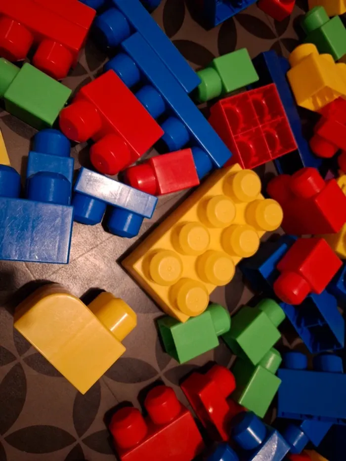 Briques mega Block - photo numéro 4