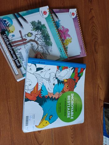 Coloriages 3 livres