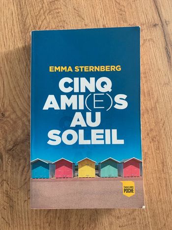 Livre Cinq ami(e)s au soleil