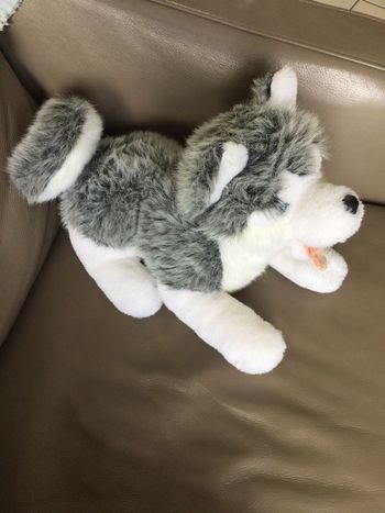Peluche husky