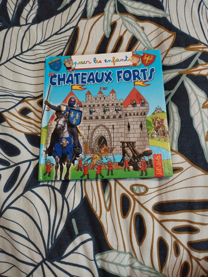 Livre sur les châteaux forts