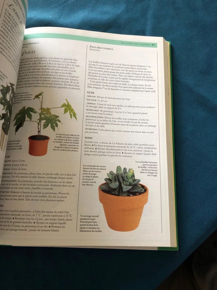Livre Encyclopédie pratique des plantes d’intérieur - photo numéro 5