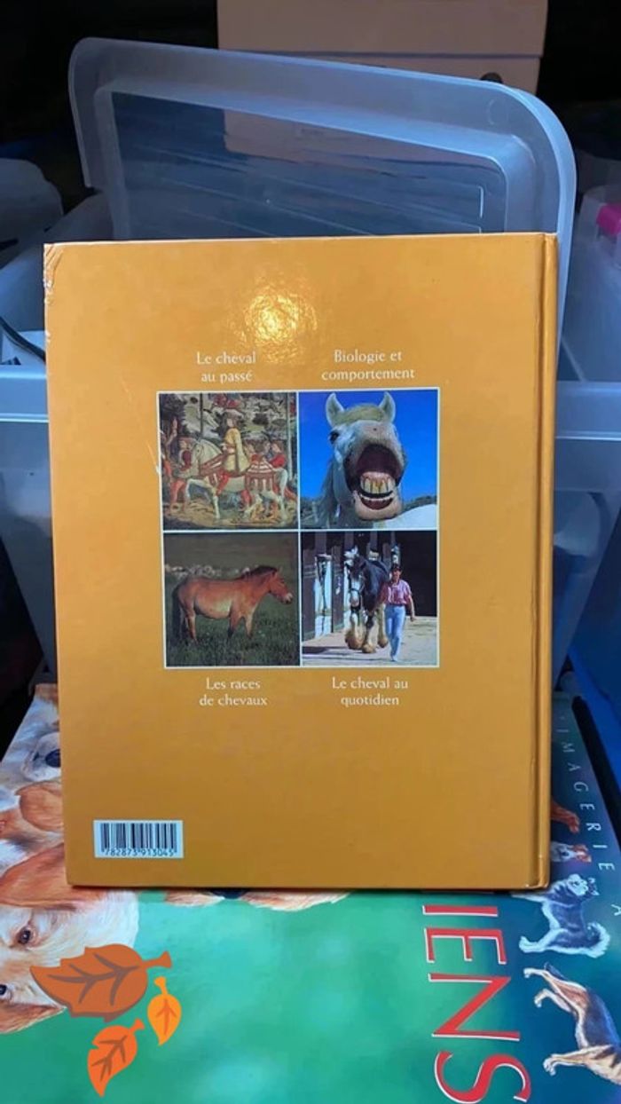 Le cheval - photo numéro 2