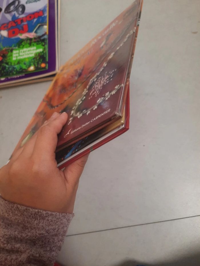 Lot livres création manuelles - photo numéro 6