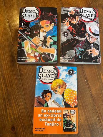 Lot mangas Demon Slayer