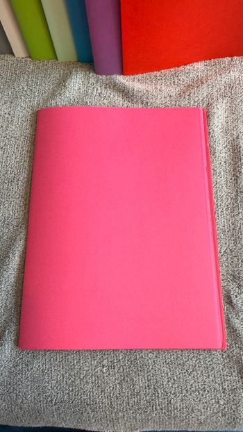 Ensemble de 12 chemises rigides rose