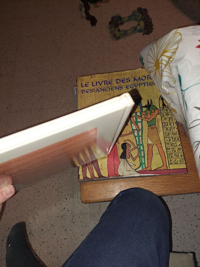 Jo, derib - photo numéro 3