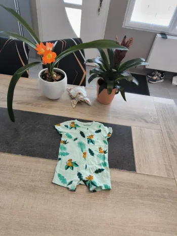 Combishort garçon 6 mois Disney Simba