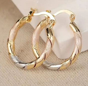Boucles d'oreilles créoles tricolores en acier inoxydable
