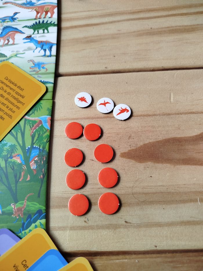 Cherche et trouve les dinosaures - photo numéro 7