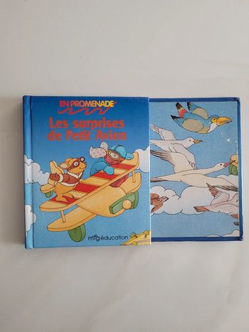 Livre "Les surprises de petit avion" 📖