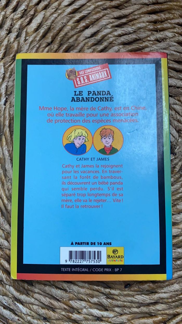 Le panda abandonné - photo numéro 2