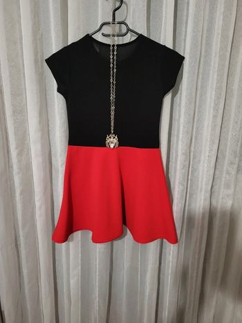 Robe et son collier 12 ans