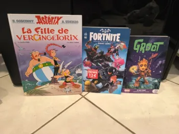Livres Obélix Batman Fortnite et groot