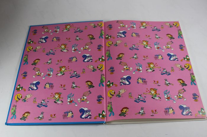 Ca Cartoon Canal + Tiny Toons L'ile aux dinosaures et Les Envahisseurs de la planete Zootar - photo numéro 7