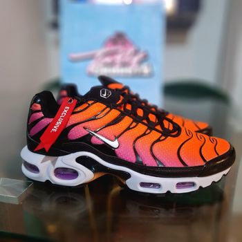 Nike air max plus tn