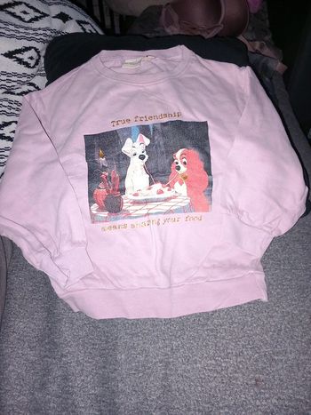 Pull taille 92cm 2ans zeeman disney la belle et le clochard