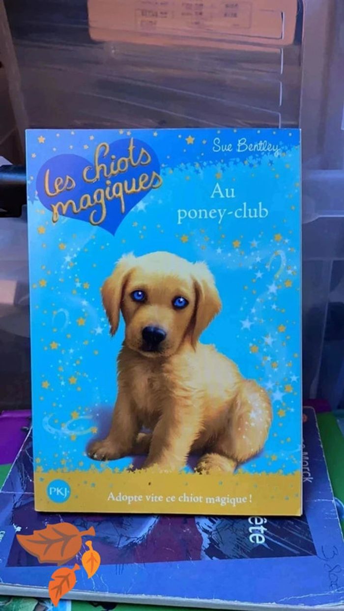 Les chiots magiques « Au poney club »