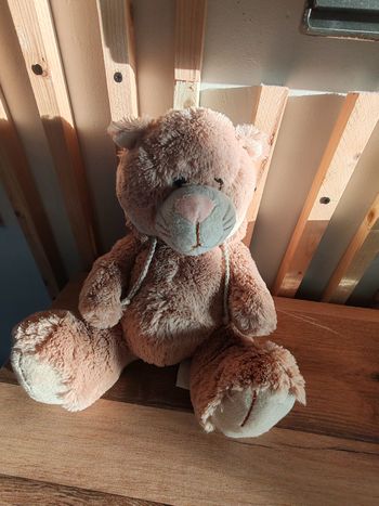 Chat beige la galleria