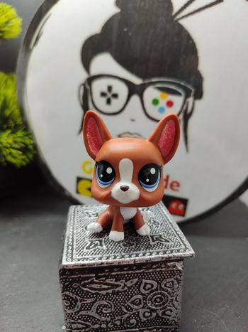 Lps01255 My Littlest Petshop Pet Shop LPS chien Roxie Boston Terrier Dog 2-99