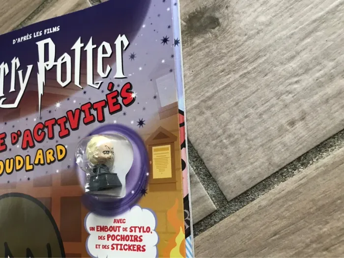 Livre Harry potter le Livre d'activités de Poudlard - photo numéro 2