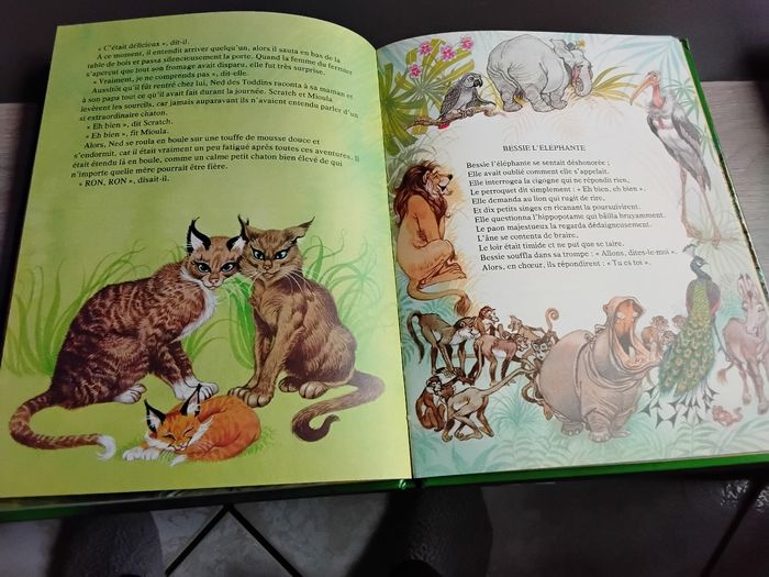 Raconte moi une histoire - photo numéro 3