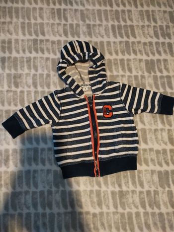 Gilet zippé capuche Creeks 3 mois