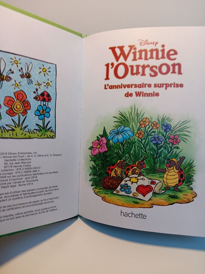Livre Disney club du livre L'anniversaire surprise de winnie - photo numéro 4