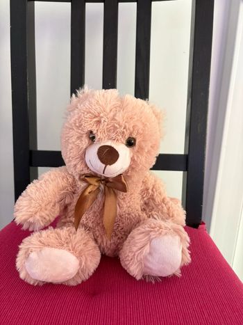 Ourson peluche