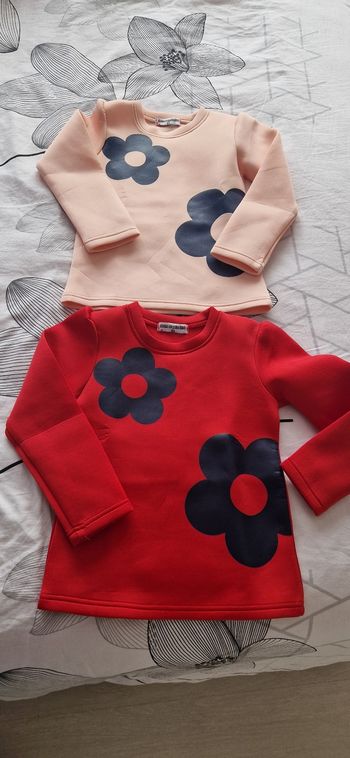 Lot de 2 pulls fille 6 ans