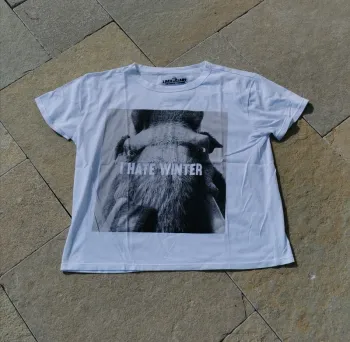 Tee-shirt l'âge de glace undiz taille S